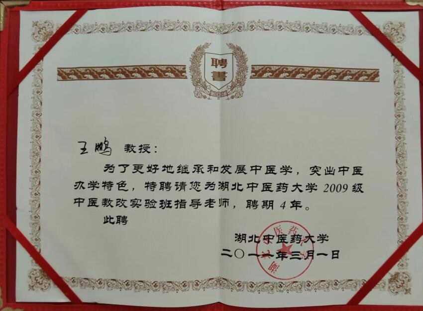 肺病医师王鹏任湖北中医药大学2009级中医教改实验班指导老师（2011年）